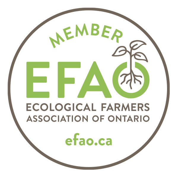 EFAO member